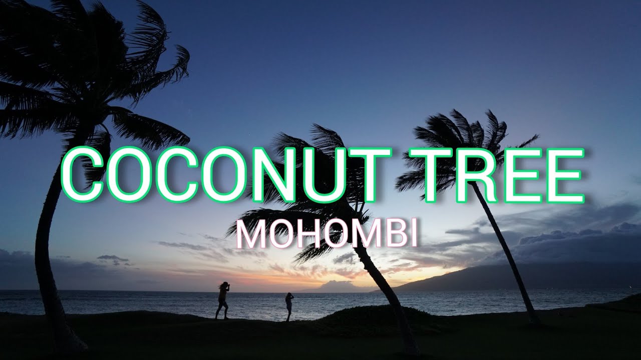 Download Mohombi - Coconut Tree Ft. Nicole Scherzinger (lyrics)