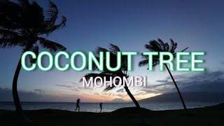 Watch Mohombi Coconut Tree video