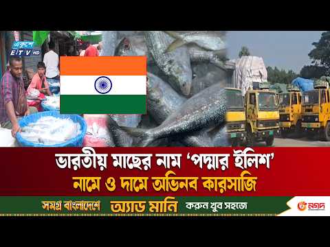 প্রথমবার ভারত থেকে বাংলাদেশে ইলিশ, বাজারে গুজরাটি মাছ নিয়ে লুকোচুরি | Hilsha | India | Ekushey TV