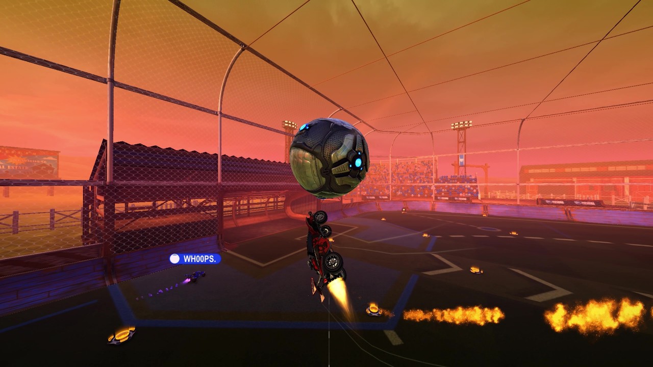 𝘣𝘶𝘵𝘵𝘦𝘳𝘧𝘭𝘪𝘦𝘴