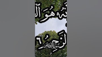 🌺القرآن الكريم 🌺ما تيسر من سورة القصص