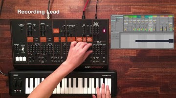ARP ODYSSEY Module #6 | Create Track with DAW (Lead Pattern)