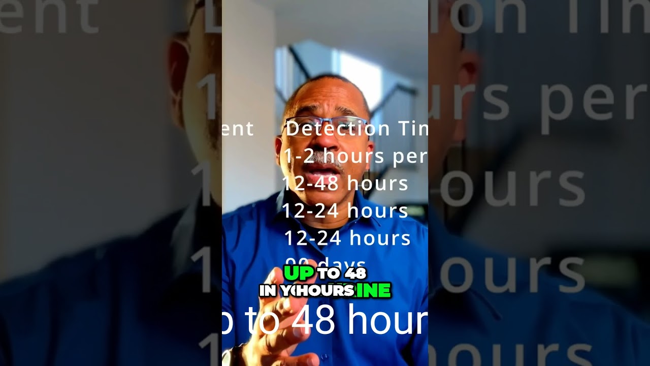 The Truth about Alcohol Detection: How Long Does It Stay in Your System?