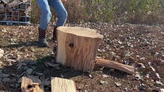 Splitting a Huge Pin Oak Round