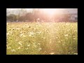 おやすみなさん!/国木田花丸 (花陽の決意風アレンジ)