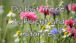 Video voorbeeld van "Du bist meine Zuflucht und Stärke"