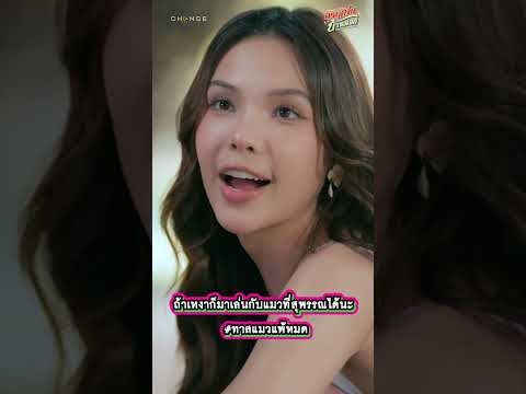 ถ้าเหงาก็มาเล่นกับแมวที่สุพรรณได้นะ #ทาสแมวแพ้หมด #shorts #คุณแฟนบ้านนอก #HometownRomance