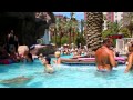 Las Vegas - Flamingo pool