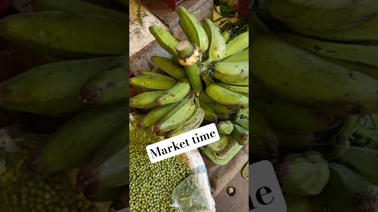 Kacha Kerry..Har chane..Kache kele.... 