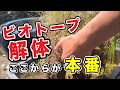 ビオトープ解体、ここからが本番