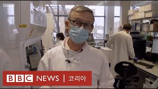 아스트라제네카: '90% 효과' 백신 연구진 BBC가 직접 만나봤다 - BBC News 코리아