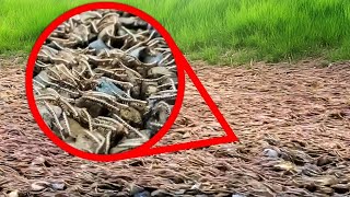 15 Creepiest Things Found In Nature