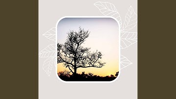 Fun Backdrops for Ice Baths