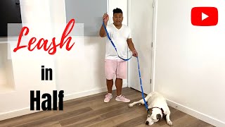 Leash In Half - Multi Function Dog Leash