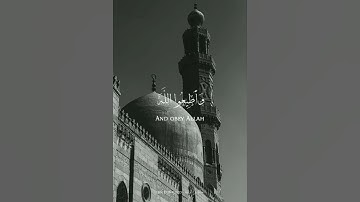 ترتيل للقارئ طارق محمد ﴿ سورة التغابن ﴾