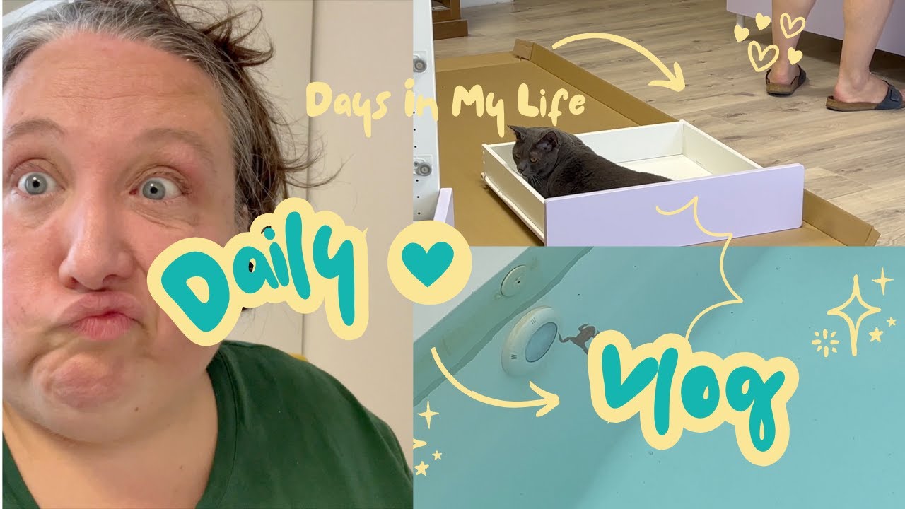 On adopte une Grenouille { vlog }