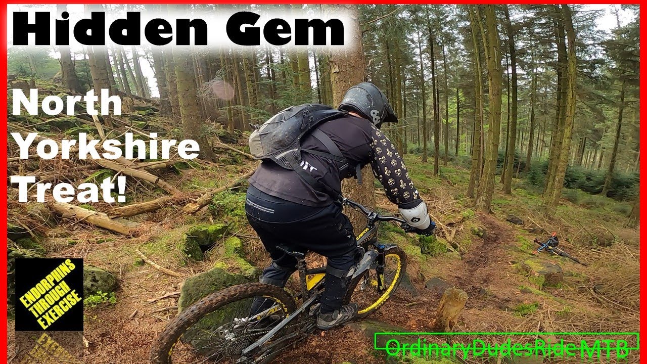 MTB HIDDEN GEM location in North Yorkshire - purpose built runs!