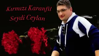 Kırmızı Karanfil - Seydi Ceylan (Elektro Bağlama)