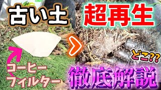 【古い土の再生】リサイクル材の新常識！超カルスNC-Rの使い方徹底ガイド【カーメン君】【園芸】【ガーデニング】