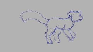Run cycle practice W.I.P