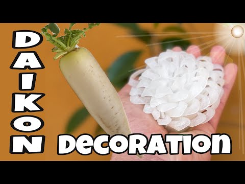 Daikon Roll Sushi