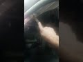 Filing tint for a edgeless look