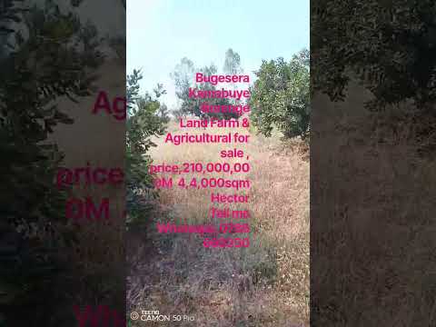Plot for Sale in Kamabuye, Bugesera