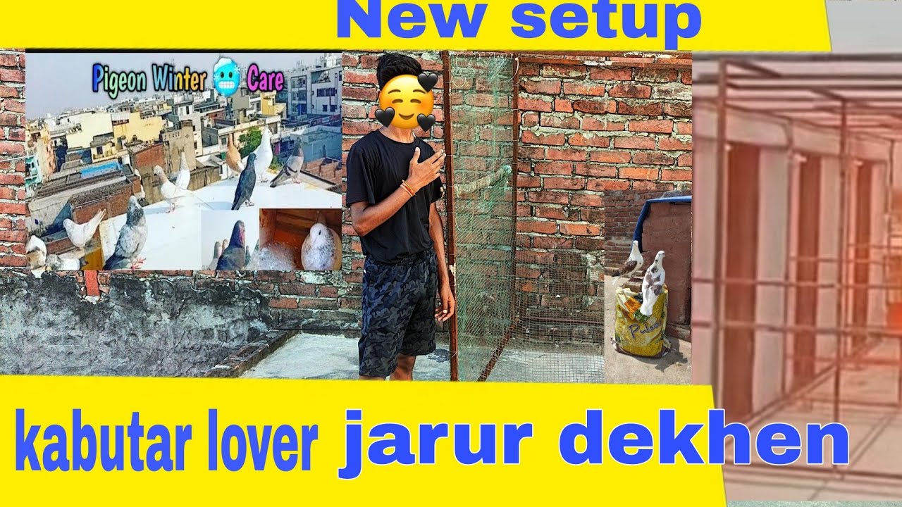 🤩kabutaro ka shauk aur new setup 👌🤩 