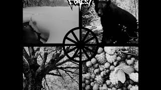 Endless Forest - Death and the Cycle