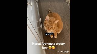 Kona Are You A Pretty Boy