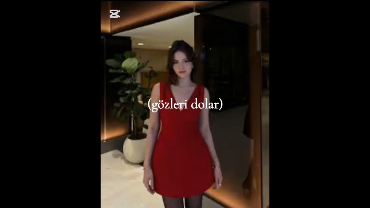 HAYATIMI MAHFETDİN ahfer dizi(isdek)