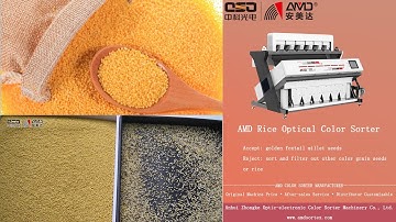 AMD RG Series(RG6) Rice Color Sorter Machine Price for Golden Foxtail Millet Seeds Sorting