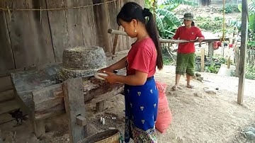 zom pob kws pub qaib pub npua