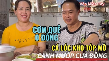 CƠM QUÊ 0 ĐỒNG - CANH CUA ĐỒNG MƯỚP HƯƠNG - CÁ LÓC KHO TÓP MỠ |Vân Miền Tây - @VanMienTay79.
