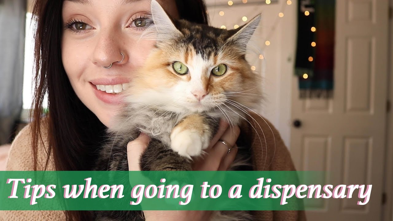 Dispensary for the First Time (Tips & Tricks)