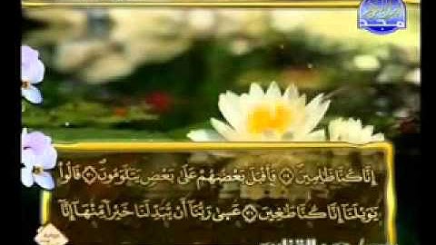 سورة القلم الشيخ عمر القزابري