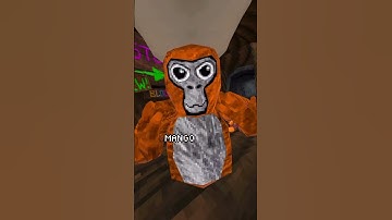 Day 1 Of Joining My Fan Code! #gorillatag #shorts #vr