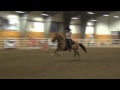 Barrel Racing - No Reins