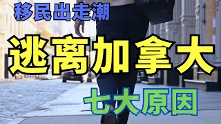揭秘！加拿大不再宜居？逃离潮背后的原因，生活充满挑战！ #toronto  #多伦多 #温哥华 #移民