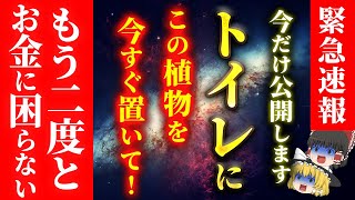 【すぐ消します】金運金運金運金運金運金運金運金運金運金運金運金運金運金運金運金運金運金運金運金運金運金運金運金運金運金運金運金運金運金運金運金運金運金運金運金運金運金運金運金運金運金運