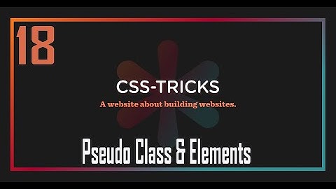 18. CSS Pseudo Class & Elements | CSS Bangla Tutorial / CSS3 Bangla Tutorial | Web Development
