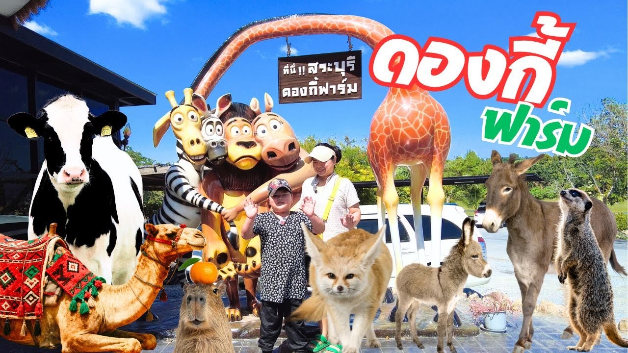 ดองกี้ฟาร์ม DONKEY FARM & CAMP  สระบุรี เที่ยวสวนสัตว์ แบบไม่เหมือนใคร