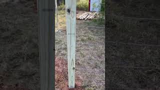 Goat pen in progress #goat #fence #farming #diy #thehomeworking