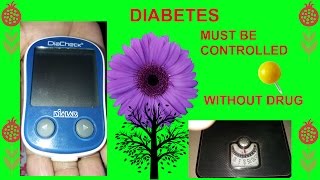 DIABETES DIET CHART - DIABETIC HEALTH -Best Diet plan For Diabetes for 2017