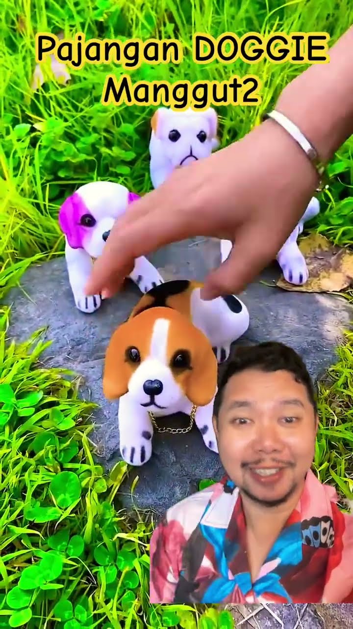 PAJANGAN DOGGIE MANGGUT2 unyuu banget!!!?? #alibabaitems #pets #puppy #cute #shortsfeed