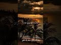الشيخ عبد الفتاح الطاروطي --نوادر روعه اجمل ما قراء #تلاوات