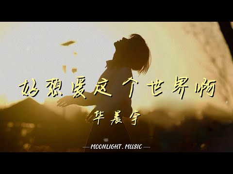 好想爱这个世界啊-华晨宇『当你的笑容绽开 这世界突然填满色彩』【动态歌词】#流行歌曲
