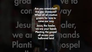 Wildflower (Chorus)