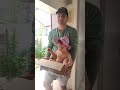 Лучшая посылка для бабушки и дедушки