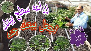 زراعه سطح بيتك فكره عبقريه الجزء الثاني| زراعة الأسطح